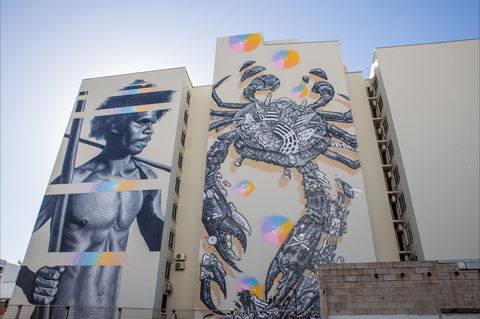 Darwin Street Art Festival - Tourism TAS 2