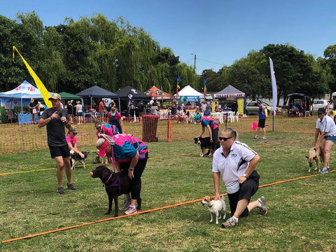 Dogs In The Park Shell Harbour - Tourism TAS 1