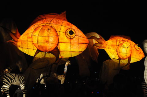 DREAM Festival: Music And Markets Event - Tourism TAS 2