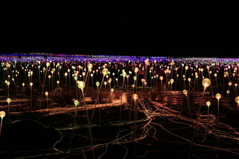 Field Of Light Uluru - Hobart Tourism 1