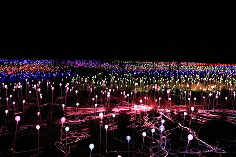 Field Of Light Uluru - Hobart Tourism 2