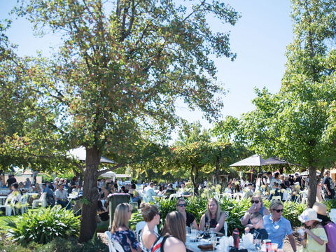 Griffith Vintage Festival - Tourism TAS 2