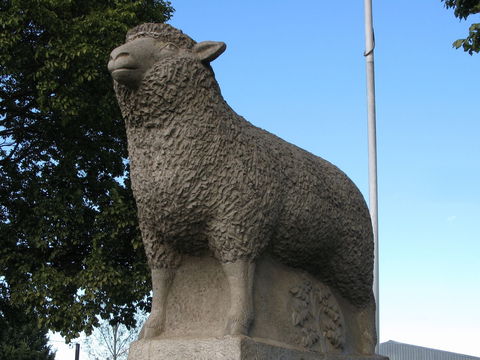 Guyra Lamb And Potato Festival - Tourism TAS 0