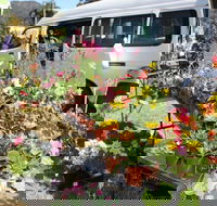 Johns River Country Markets - Tourism TAS