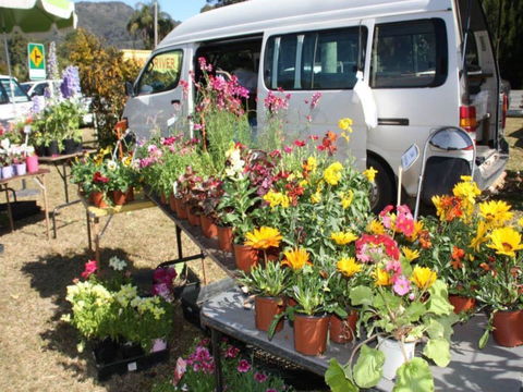 Johns River Country Markets - Tourism TAS 0