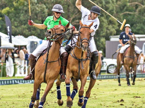 Land Rover Polo In The City - Tourism TAS 0