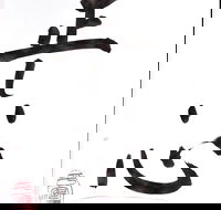 Learn Japanese calligraphy - Tourism TAS