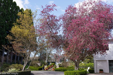 Leura Gardens Festival - Cancelled - Tourism TAS 0