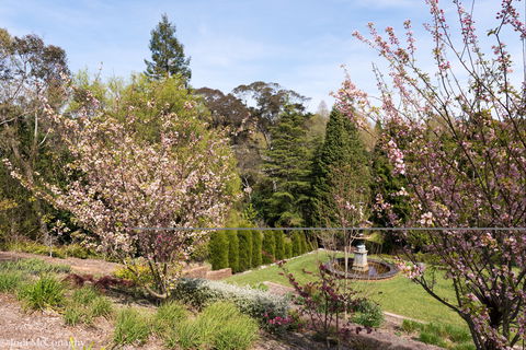 Leura Gardens Festival - Cancelled - Tourism TAS 2