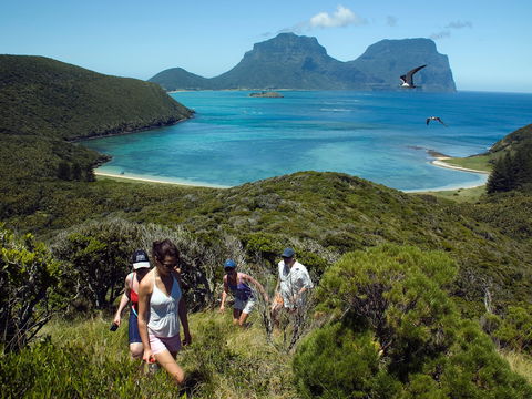 Lord Howe Island Bird Week - Tourism TAS 2