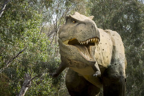 Lost Sanctuary At Healesville Sanctuary - Hobart Tourism 2