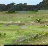 Mount Gambier and District Pony Club Horse Trials 2020 - Tourism TAS