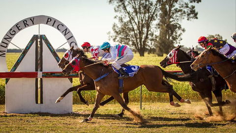 Mungery Picnic Races - Tourism TAS 0