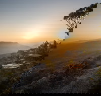 Photowalk with Jon Harris Photography - Nature Photography - Hobart Tourism