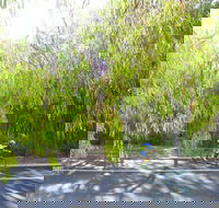 SunSmart FunMan Triathlon - Tourism TAS