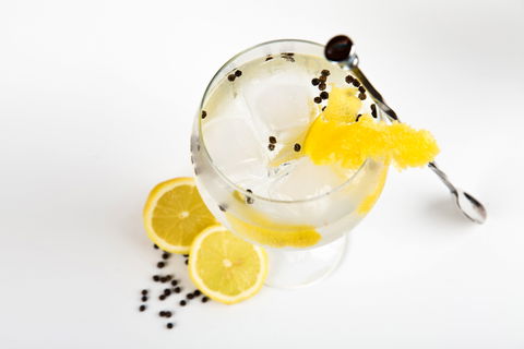 Online Live Streaming Class: Make Four Gin Cocktails - Hobart Tourism 0