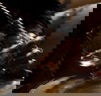 Tasmanian Whisky Week - Hobart Tourism