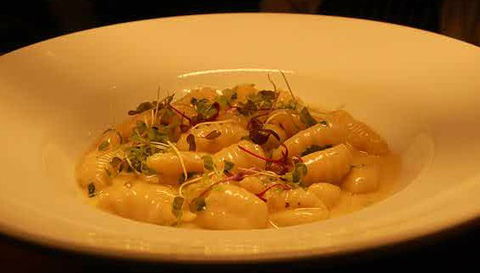 Aquacotta Italian Restaurant - Hobart Tourism 1