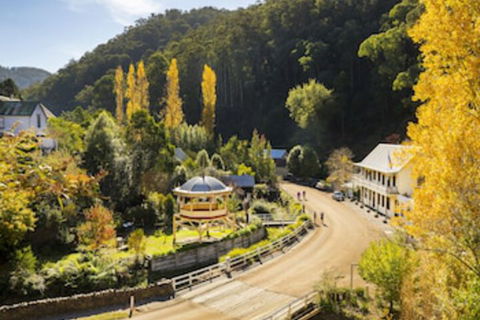 Walhalla's Star Hotel - Tourism TAS 0