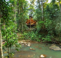 The Canopy Rainforest Treehouses and Wildlife Sanctuary - Tourism TAS