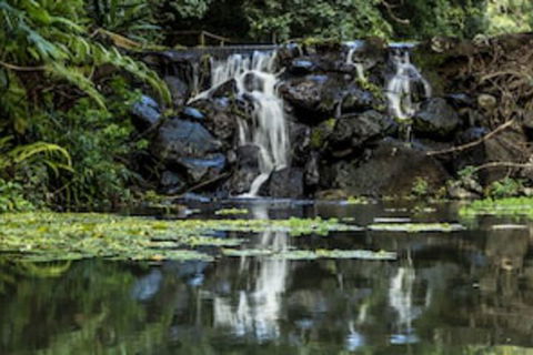 Kondalilla Eco Resort - Hobart Tourism 0