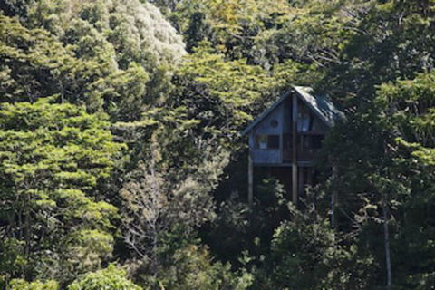 Rose Gums Wilderness Retreat - Tourism TAS 0