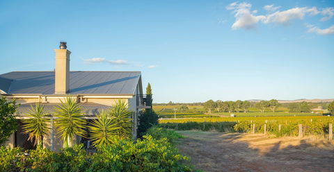 Barossa Shiraz Estate - Tourism TAS 0