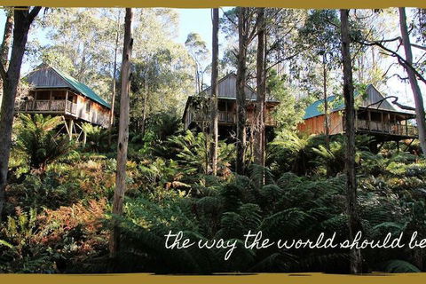 Lemonthyme Wilderness Retreat - Tourism TAS 5