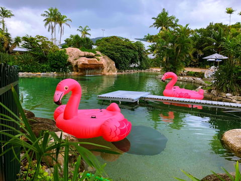Cairns Colonial Club Resort - Tourism TAS 4