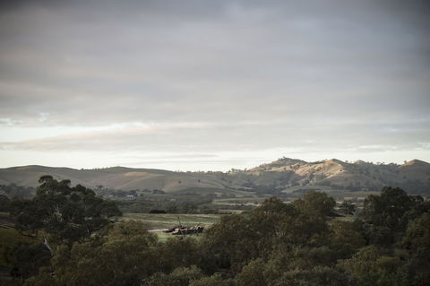 Novotel Barossa Valley Resort - Tourism TAS 1