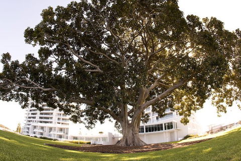 The Sebel Mandurah - Tourism TAS 1
