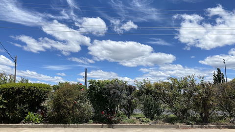 Sapphire City Motor Inn, Inverell - Tourism TAS 3