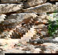 Jenolan Caves House - Tourism TAS