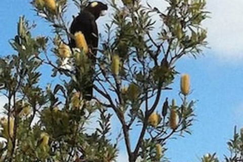 Lake Illawarra B&B - Hobart Tourism 1