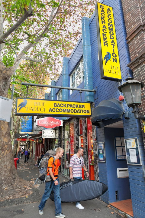 Blue Parrot Backpackers - Tourism TAS 1