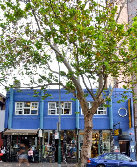 Blue Parrot Backpackers - Tourism TAS 6