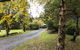 Cradle Forest Inn - thumb 1
