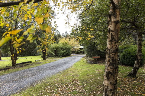 Cradle Forest Inn - Tourism TAS 1