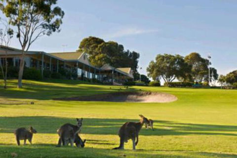 Early Settlers Motel Tocumwal - Tourism TAS 6