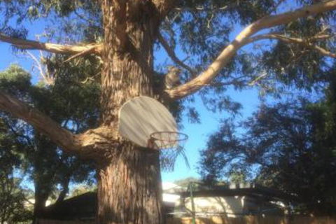 Inverloch Motel - Tourism TAS 5