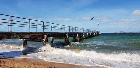 Port Lincoln Caravan Park - Tourism TAS 3
