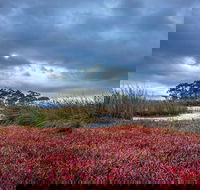 Saintys Creek Cottage - Tourism TAS