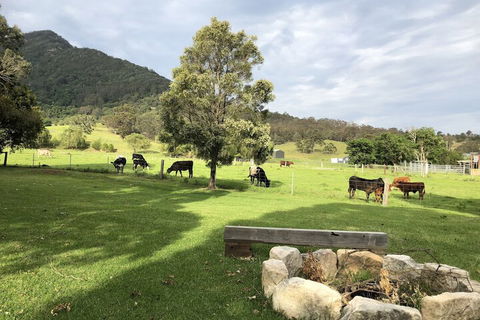 ARCADIA - The Barn Cottage & Rosehill Cottage - Hobart Tourism 3