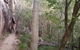 Shambhala Retreat Magnetic Island Cottages - thumb 5