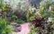 Shambhala Retreat Magnetic Island Cottages - thumb 4
