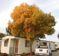 Wodonga Caravan  Cabin Park - Tourism TAS