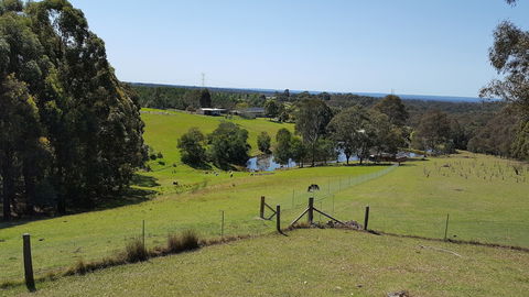 Blueberry Hills On Comleroy - Tourism TAS 4