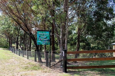 Blueberry Hills On Comleroy - Tourism TAS 0