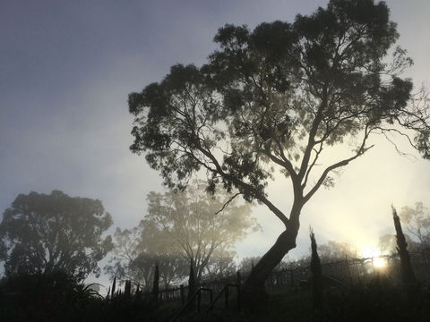 Barossa White House - Hobart Tourism 3