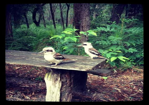 Getaways At Byfield - Tourism TAS 1